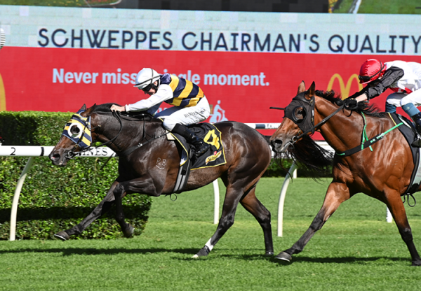 Quick Thinker (So You Think) wins the Gr.2 Chairmans Quality at Randwick