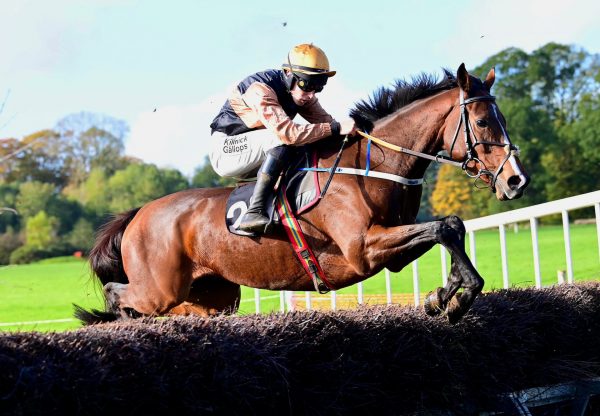 Race To Base (Vadamos) Wins At Loughanmore