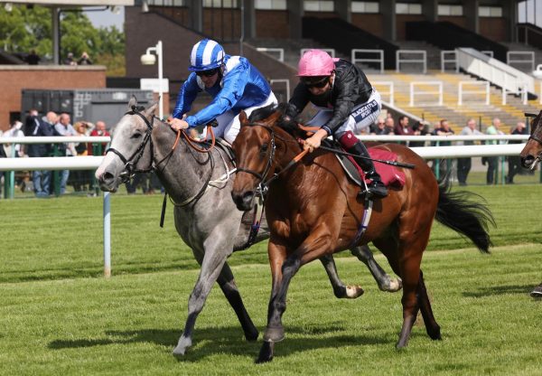 Raging (Holy Roman Emperor) Wins The Seven Sisters Novice Stakes At Haydock