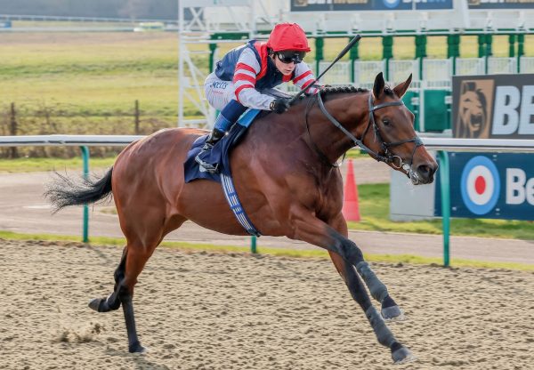 Rascal Recknell Wins His Maiden At Lingfield