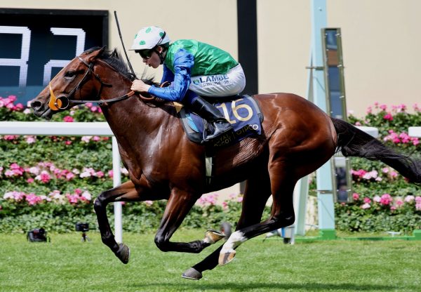 Rashabar (Holy Roman Emperor) Wins The Group 2 Coventry Stakes At Royal Ascot