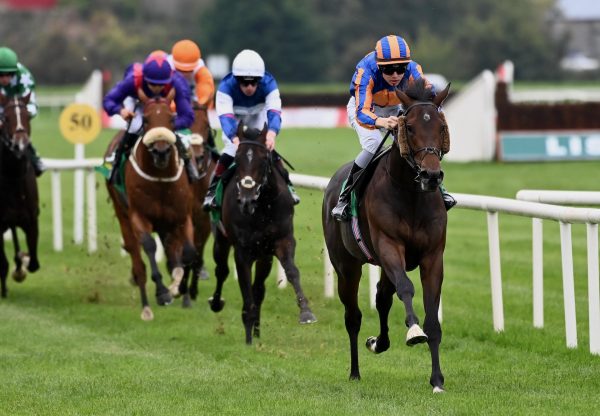 Right And True (Arizona) Wins His Maiden At Listowel