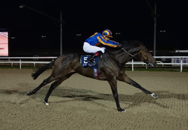 Right And True Wins The Listed Star Appeal Stakes At Dundalk