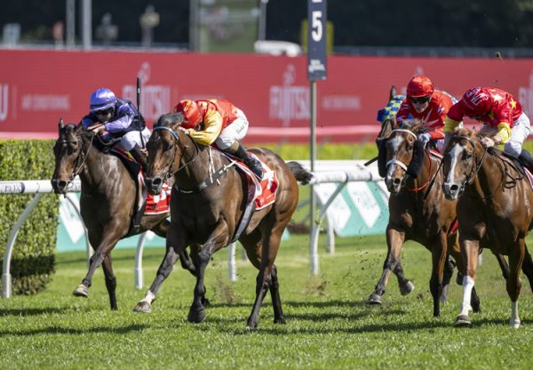 Rocketing By (So You Think) wins the Gr.3 Sydney Stakes at Randwick