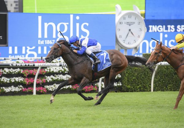 Rocketing By (So You Think) wins the Inglis Sprint at Randwick