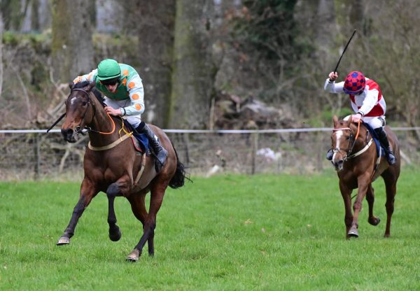 Rose In The Park (Walk In The Park) Makes A Winning Debut At Borris