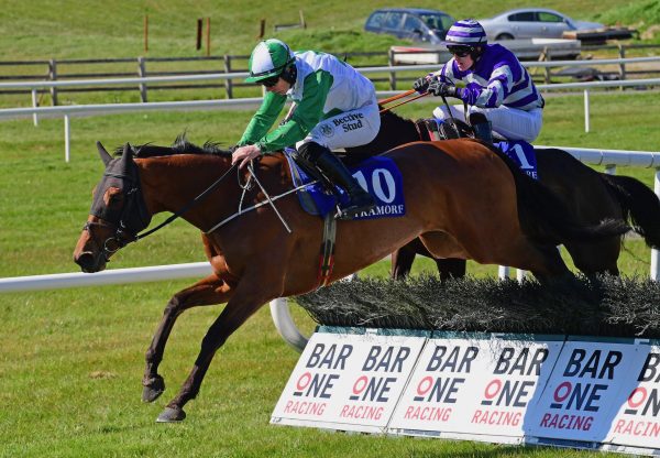 Roxhill Roise (Getaway) Wins The Maiden Hurdle At Tramore