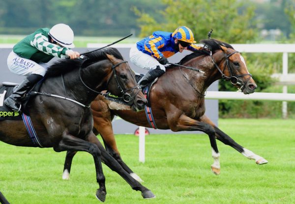 Royal Dornoch (Gleneagles) Wins The Gr.3 Desmond Stakes at Leopardstown