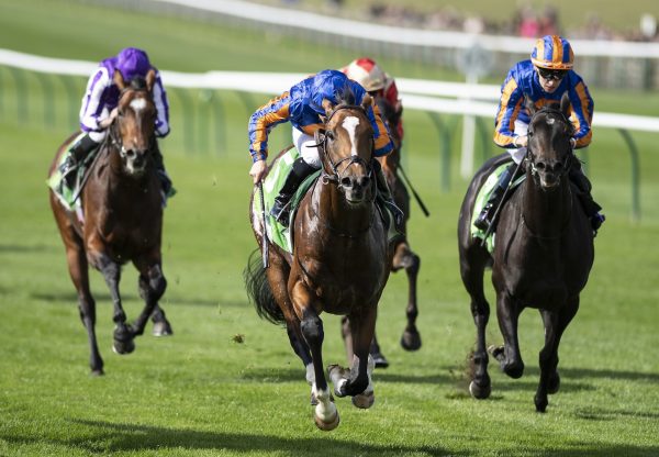 Royal Dornoch (Gleneagles) winning the Gr.2 Royal Lodge Stakes at Newmarket