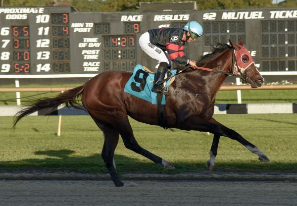 Ruby Lee (Air Force Blue) Breaks Maiden At Tampa Bay