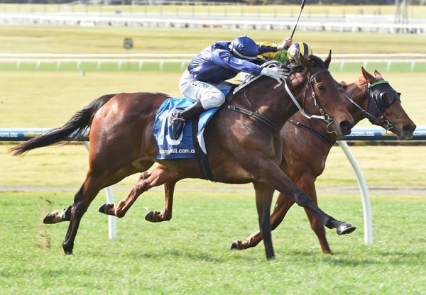 Sailing By (Fastnet Rock) winning at Sandown