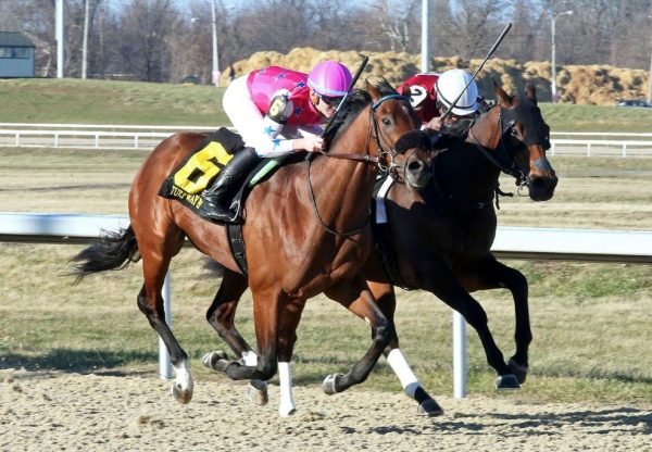 Scoobie Quando (Uncle Mo) winning the Turfway Prevue Stakes at Turfway Park
