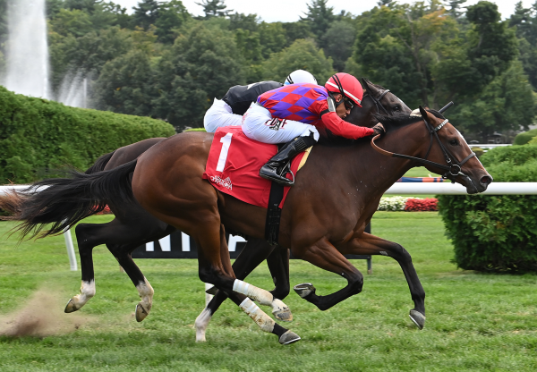 Scythian (Tiz The Law) Wins Saratoga Msw