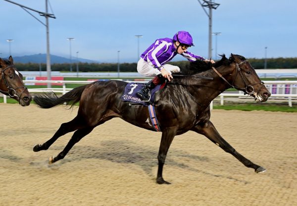 Serengeti Wins His Maiden At Dundalk