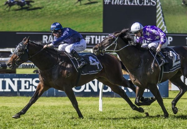 Siege Of Quebec (Fastnet Rock) winning at Rosehill