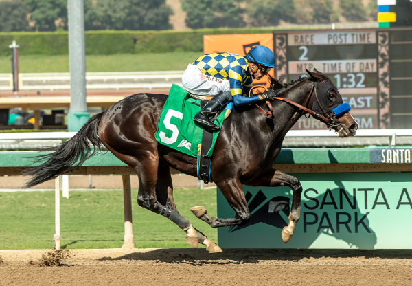 Silent Law (Tiz The Law) Wins Anoakia