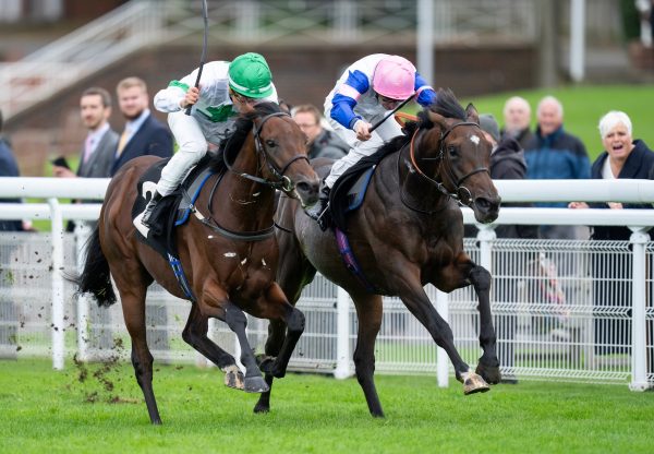 Sing Us A Song (Camelot) Wins His Maiden At Goodwood