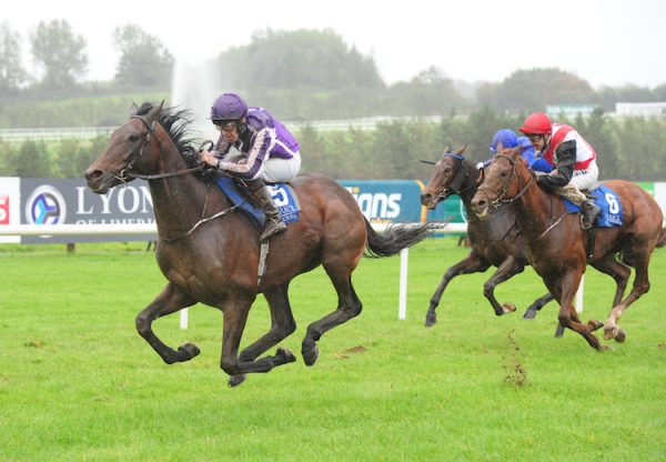 Sir Erec (Camelot) winning the Listed Martin Moloney Stakes at Limerick