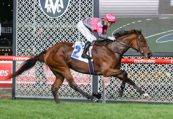 Sirileo Miss (Pride Of Duba) wins the Gr.2 Sunline Stakes at Moonee Valley