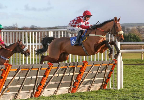 Sirwilliamwallace (Getaway) Wins His Maiden Hurdle at Kelso