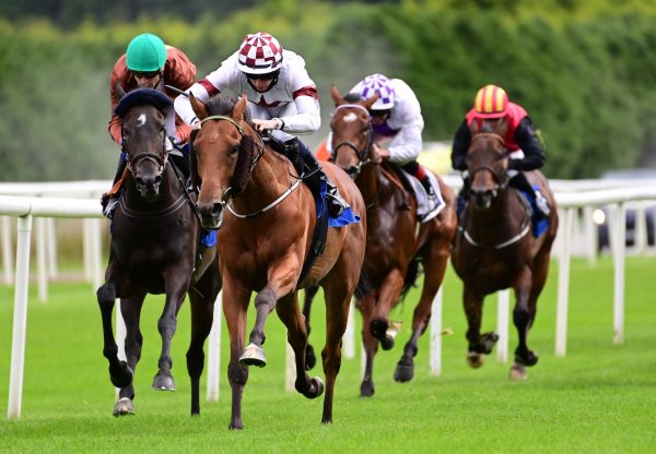 Skilled Warrior (Holy Roman Emperor) Gets Off The Mark At Roscommon