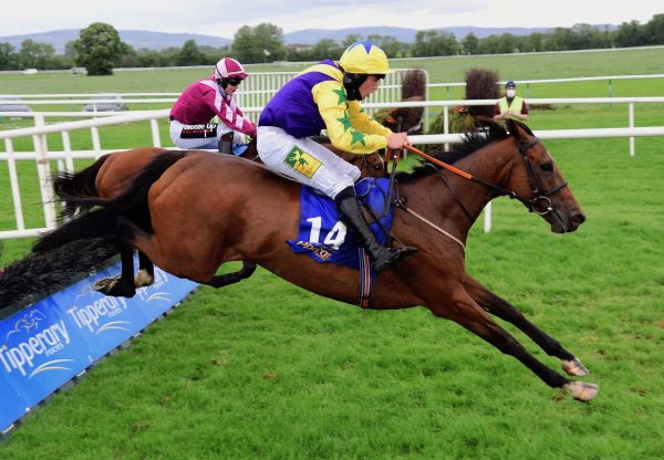 Skyace (Westerner) Wins Maiden Hurdle At Tipperary