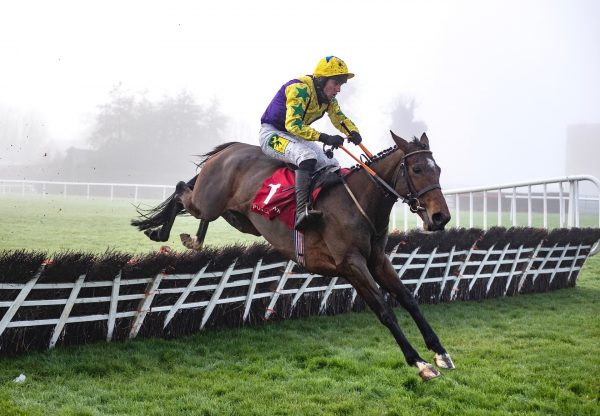 Skyace (Westerner) Wins The Listed Mares Novice Hurdle At Punchestown