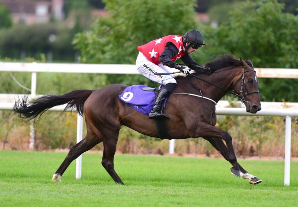 Sneaky Getaway (Getaway) winning the QR race at Leopardstown