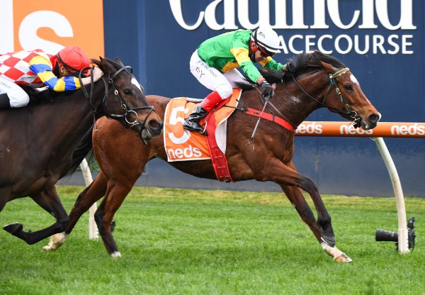So You Assume (So You Think) winning at Caulfield