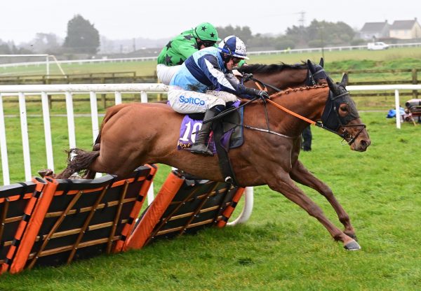 Socially Distant (Mahler) Wins The Mares Maiden Hurdle At Wexford