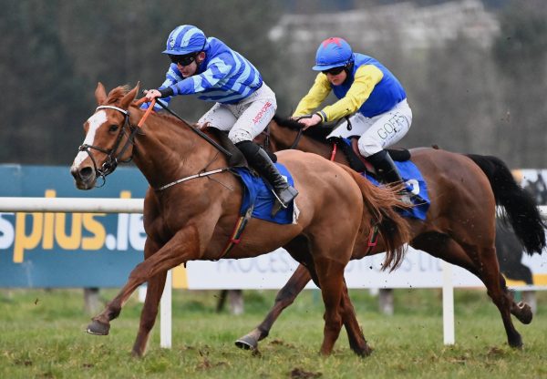 Sommesky (Soldier Of Fortune) Wins A Bumper On Debut At Limerick