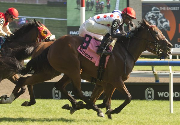 Souper Hoity Toity (Uncle Mo) Gr.3 Ontario Colleen Stakes Win