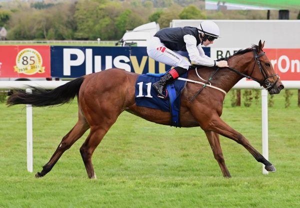 Sparkling Sea Impresses On Debut At Naas