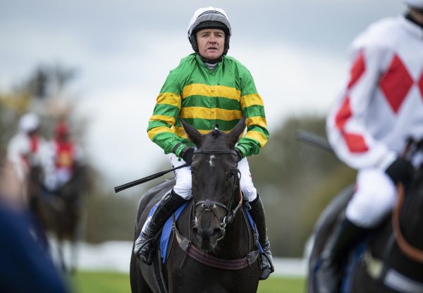 Sporting John (Getaway) After Winning His Hurdle Debut at Exeter