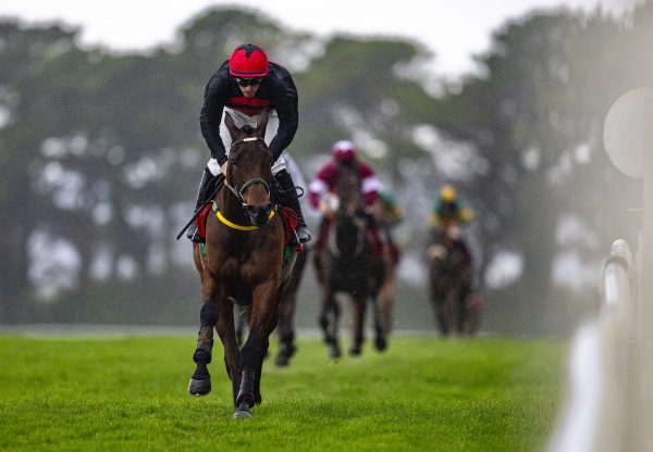 Sportinthepark Wins The Rated Novice Chase At Galway