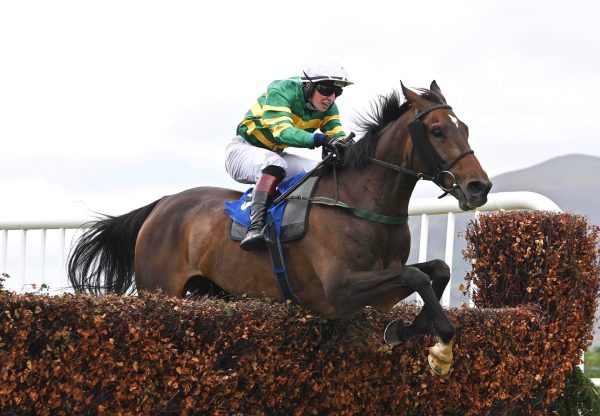 Stealthy Tom (Yeats) Wins The Listed Chase At Killarney