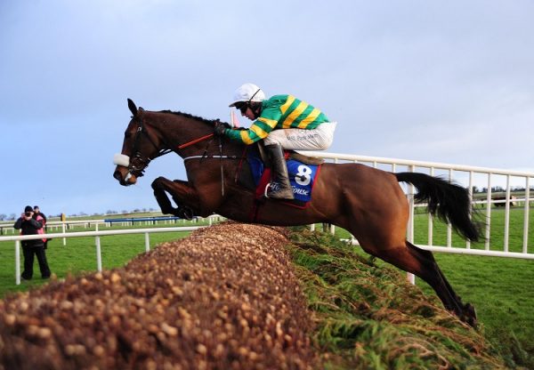 Sutton Place (Mahler) winning a beginners chase at Fairyhouse