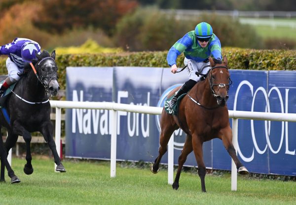 Sweet Thing (Starspangledbanner) Wins Her Maiden At Navan