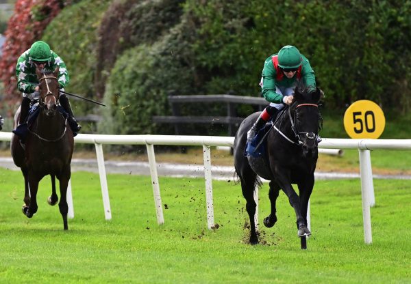 Tangapour (Wootton Bassett)  Wins His Maiden At Killarney