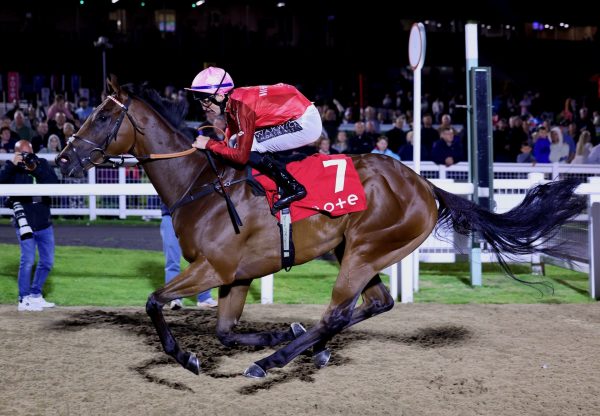 Ten Pounds (Ten Sovereigns) Completes A Hat Trick