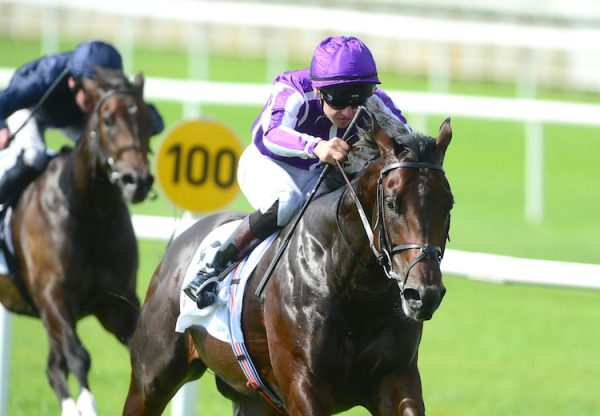 Ten Sovereigns (No Nay Never) winning the G3 Round Tower Stakes at the Curragh