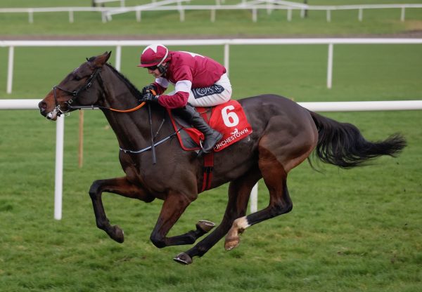 The Enabler (Walk In The Park) Wins The Bumper At Punchestown