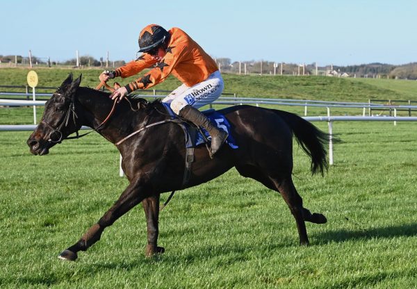 The Great Nudie (Wings Of Eagles) Wins The Mares Maiden Hurdle At Tramore