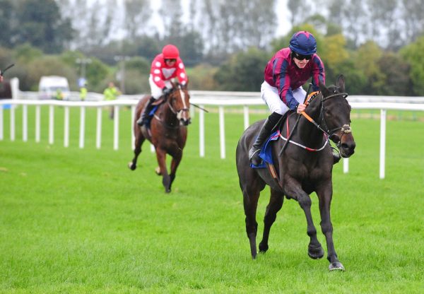 The Little Yank Becomes The Latest Winner By Westerner