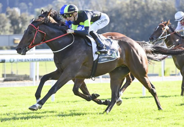 Think About It (So You Think) winning the ListedTakeover Target at Gosford