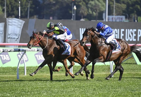 Think About It (So You Think) wins the Gr.2 Premiere Stakes at Randwick