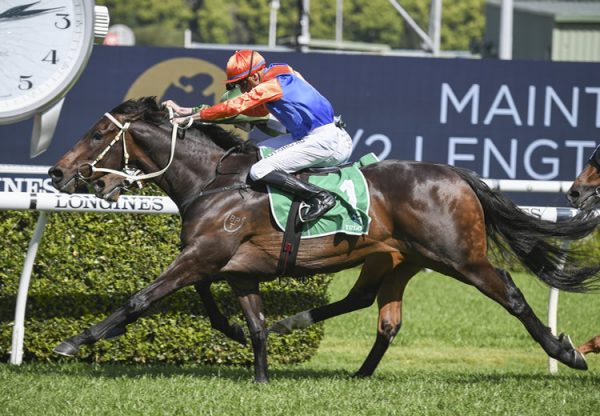 Think It Over (So You Think) winning the Gr.2 Hill Stakes at Randwick