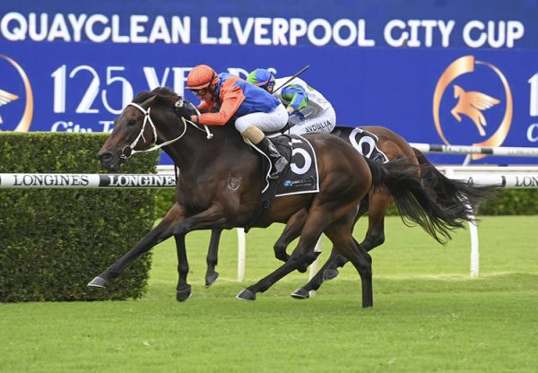 Think It Over (So You Think) wins the Gr.3 Liverpool City Cup at Randwick