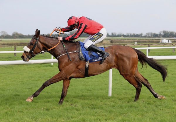 Tiger Bay Queen (Westerner) Wins The Listed Mares Bumper At Fairyhouse