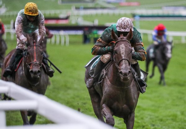 Time Flies By (Getaway) winning a bumper at Cheltenham